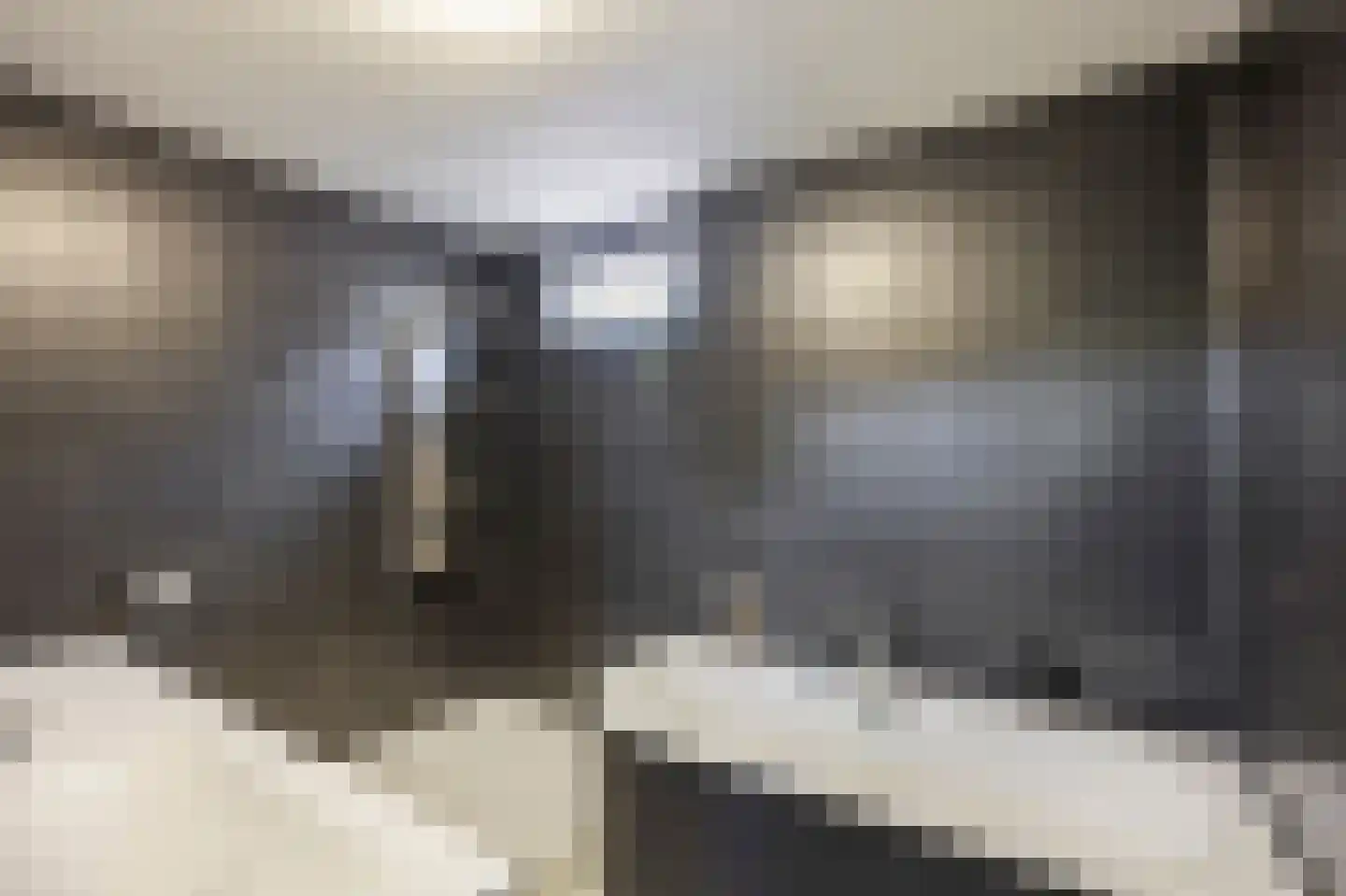Vuurdoornstraat 8 Echt thumbnail 33
