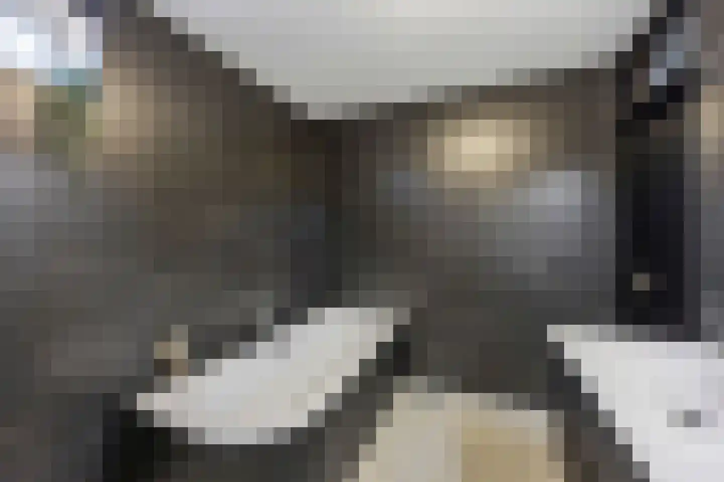 Vuurdoornstraat 8 Echt thumbnail 35