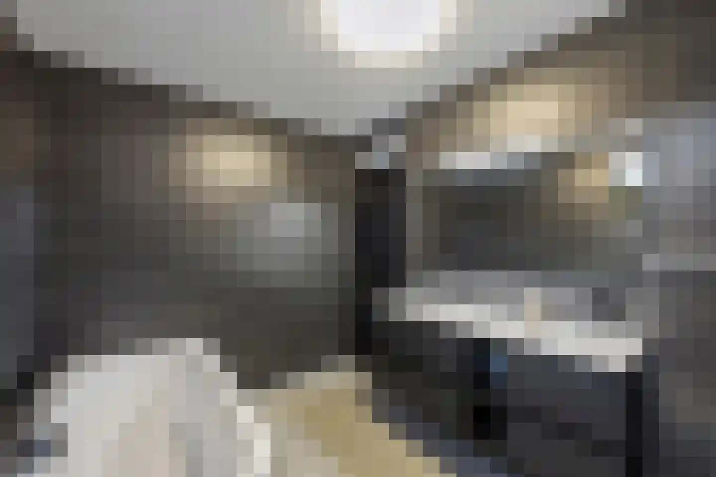 Vuurdoornstraat 8 Echt thumbnail 36