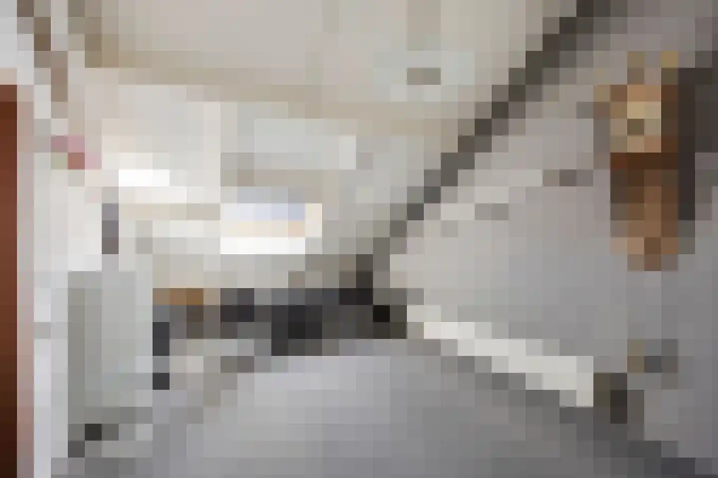 Vuurdoornstraat 8 Echt thumbnail 37