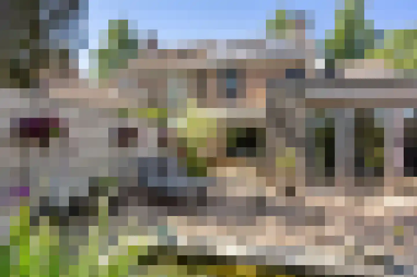Vuurdoornstraat 8 Echt thumbnail 38