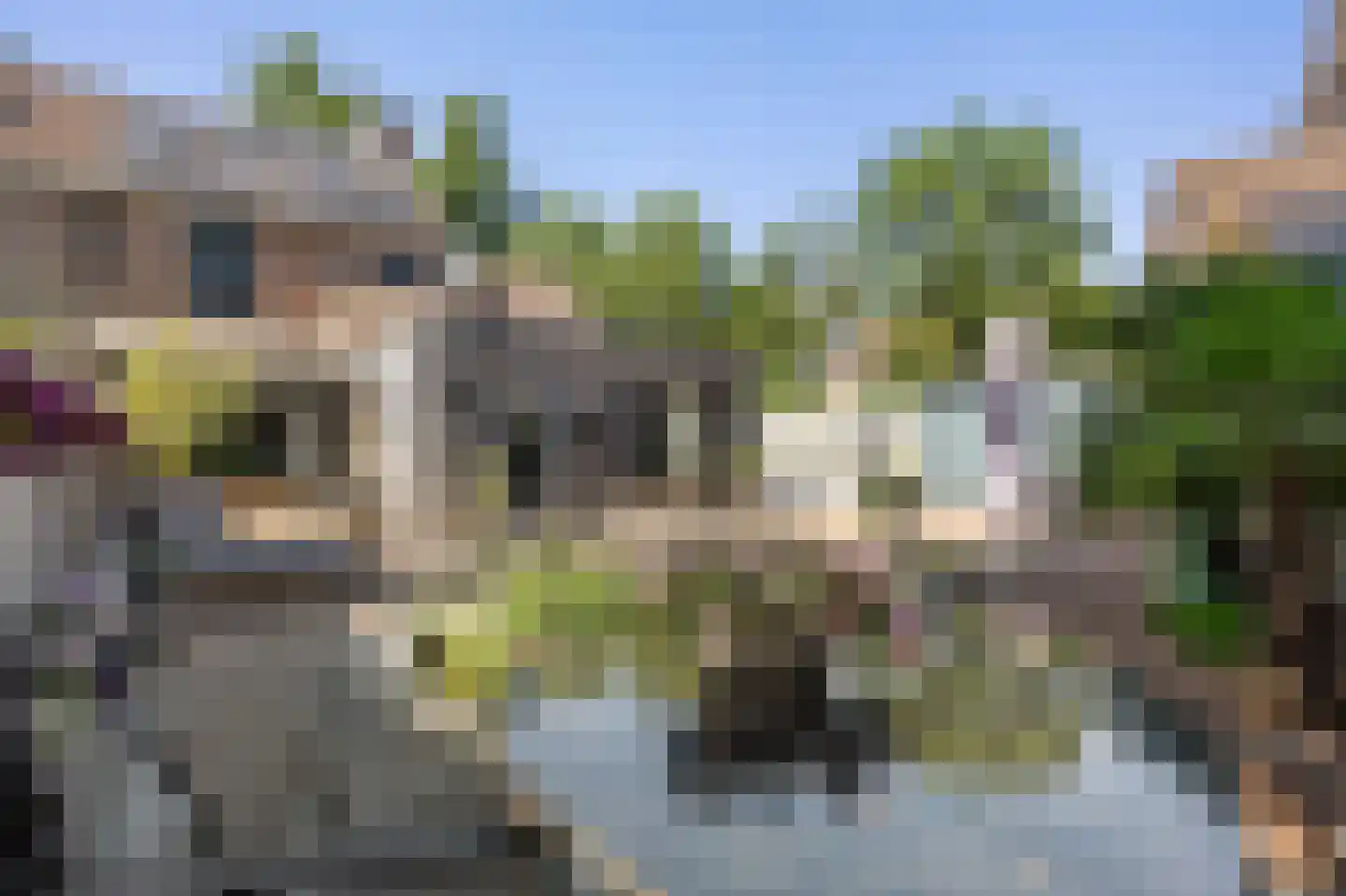 Vuurdoornstraat 8 Echt thumbnail 4