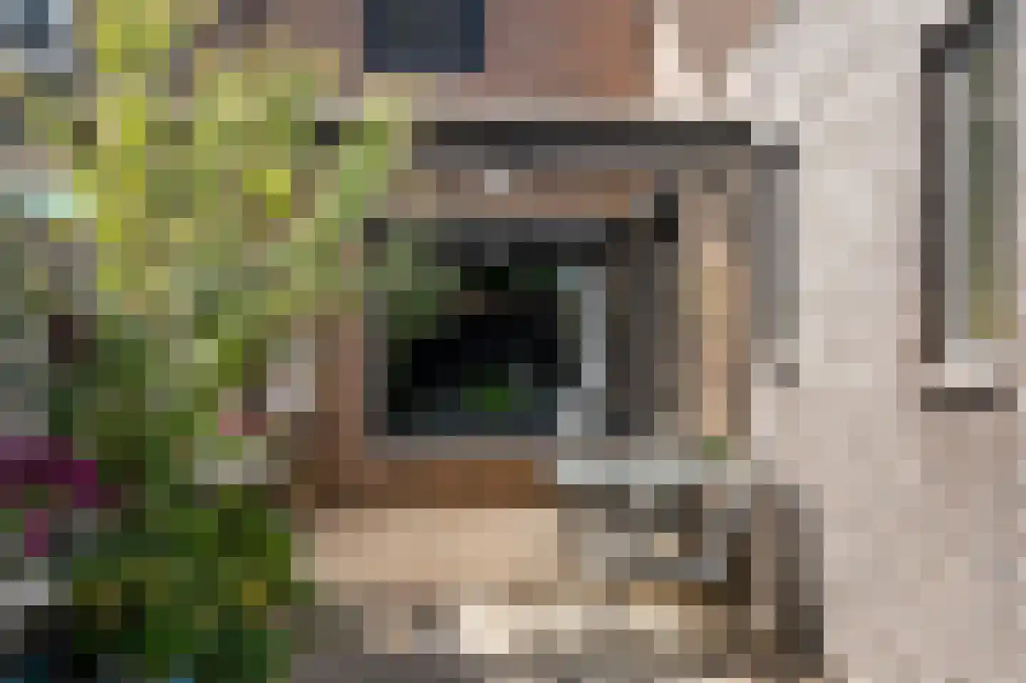 Vuurdoornstraat 8 Echt thumbnail 43