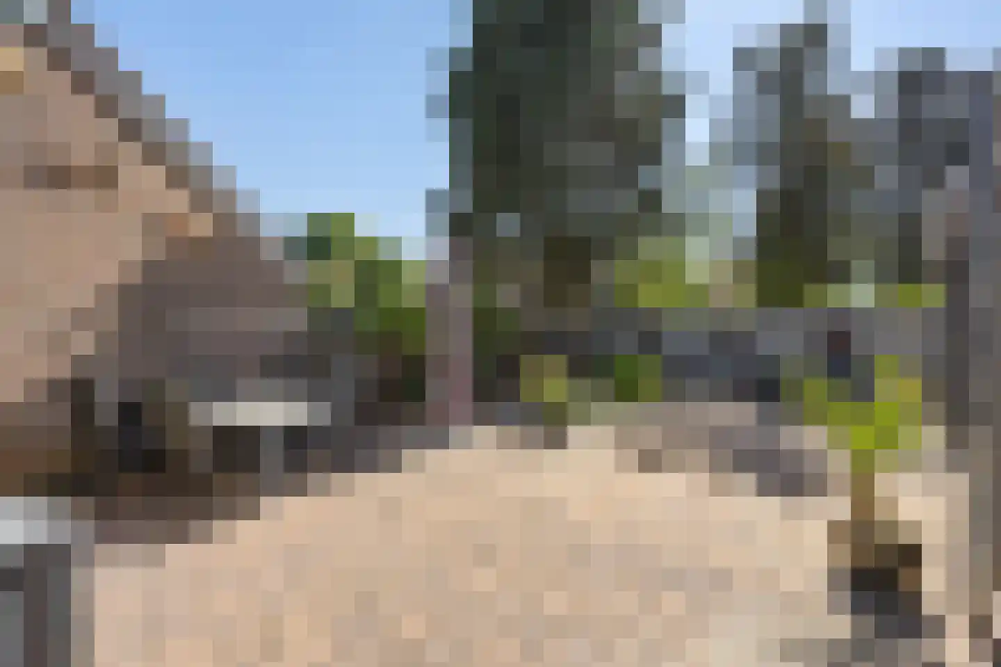 Vuurdoornstraat 8 Echt thumbnail 45