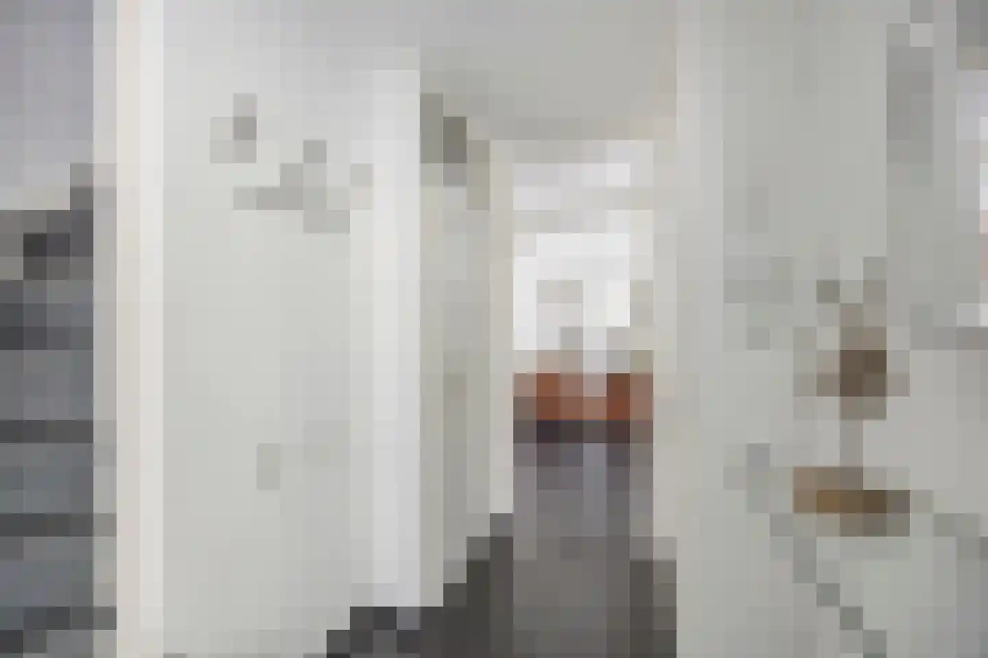 Vuurdoornstraat 8 Echt thumbnail 8