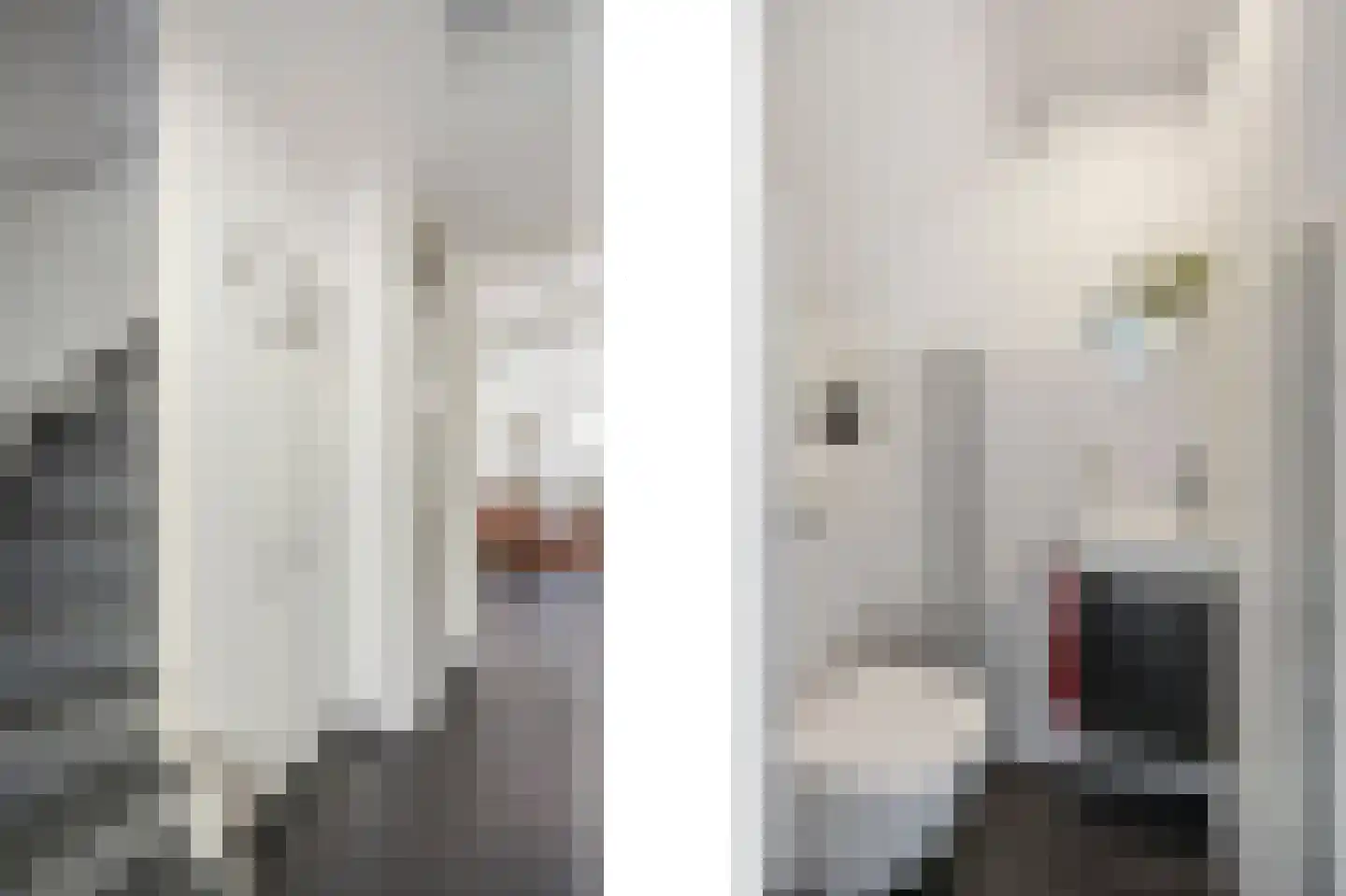 Vuurdoornstraat 8 Echt thumbnail 9