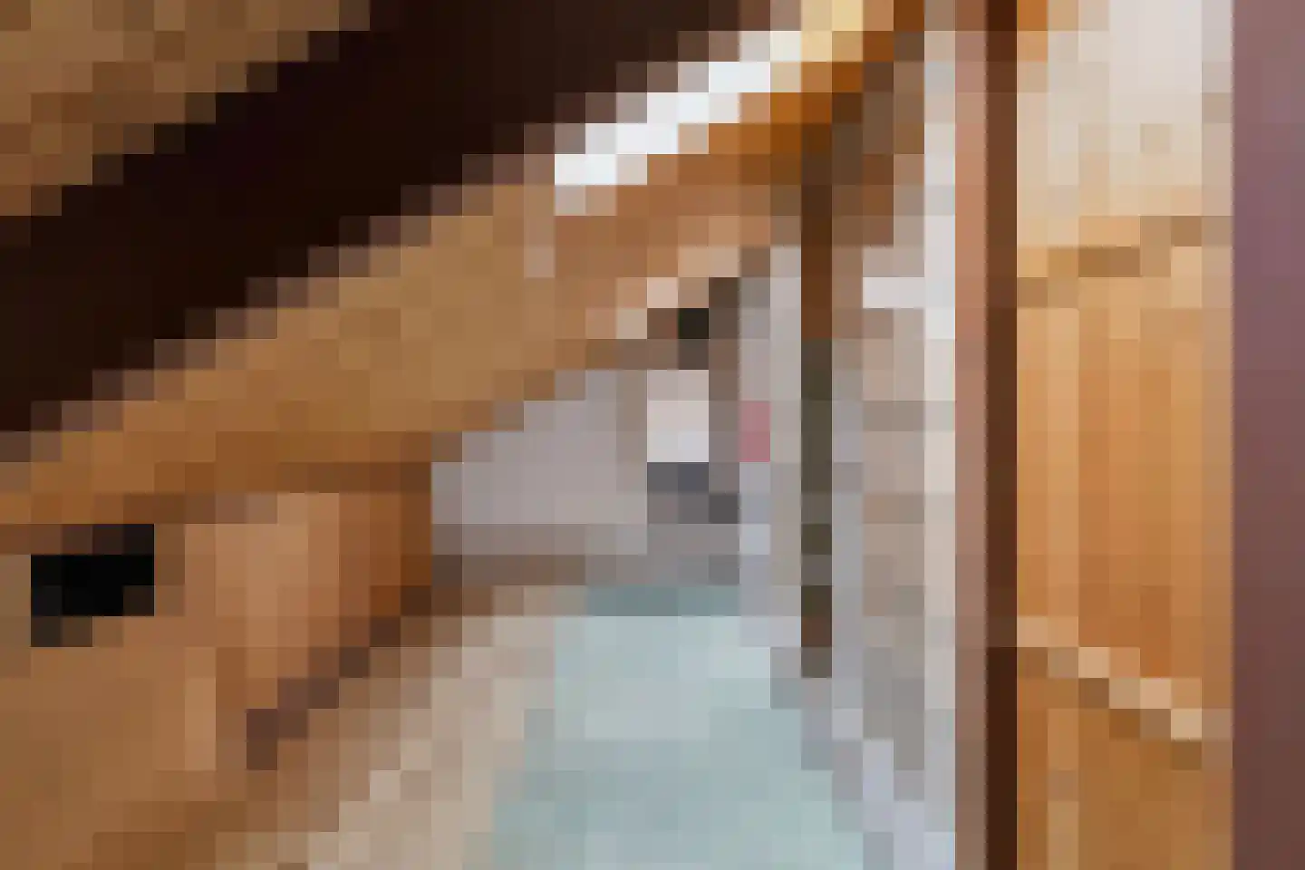 Vuurdoornstraat 8 Zevenaar thumbnail 36