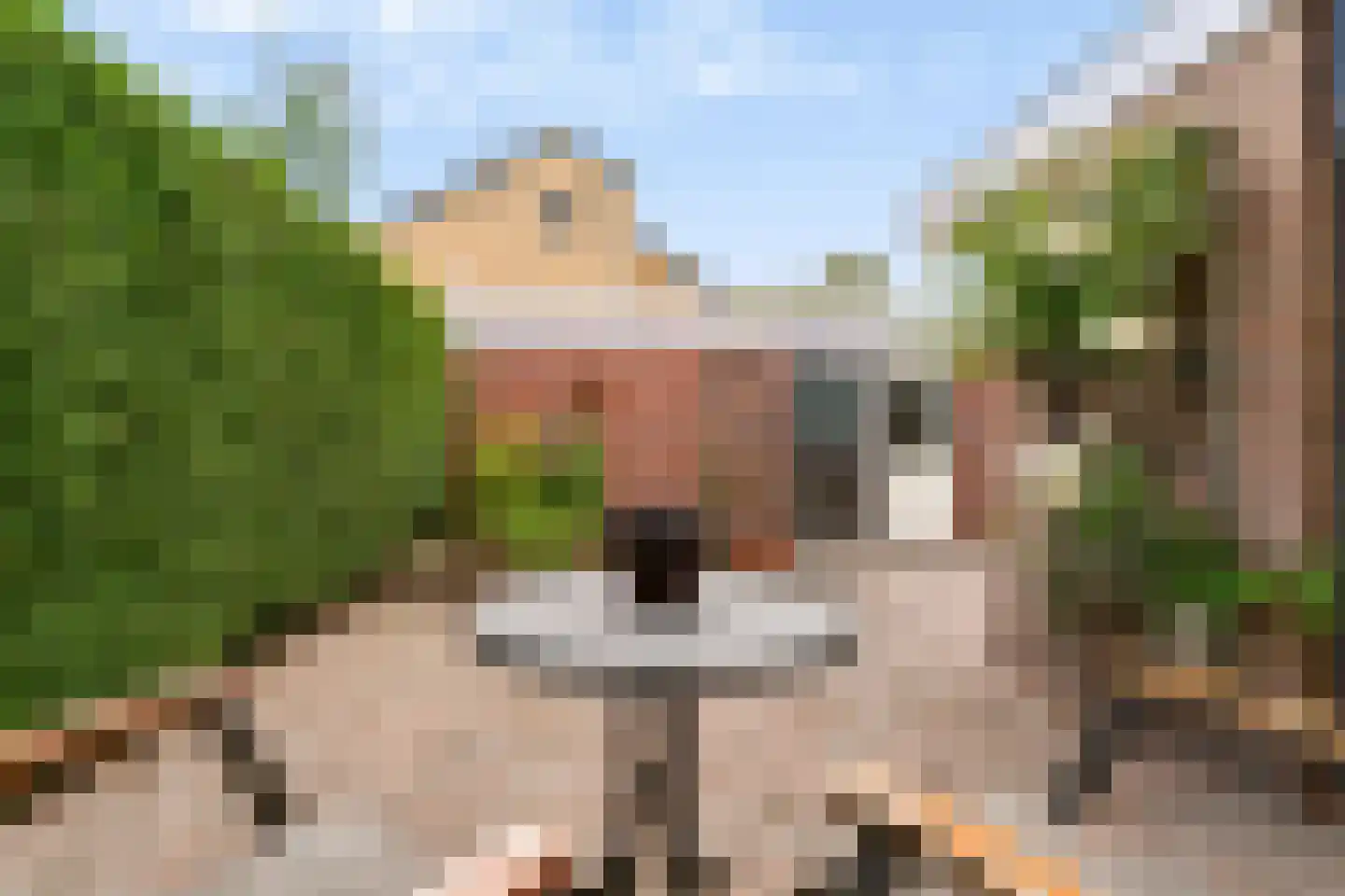 Vuurdoornstraat 8 Zevenaar thumbnail 39