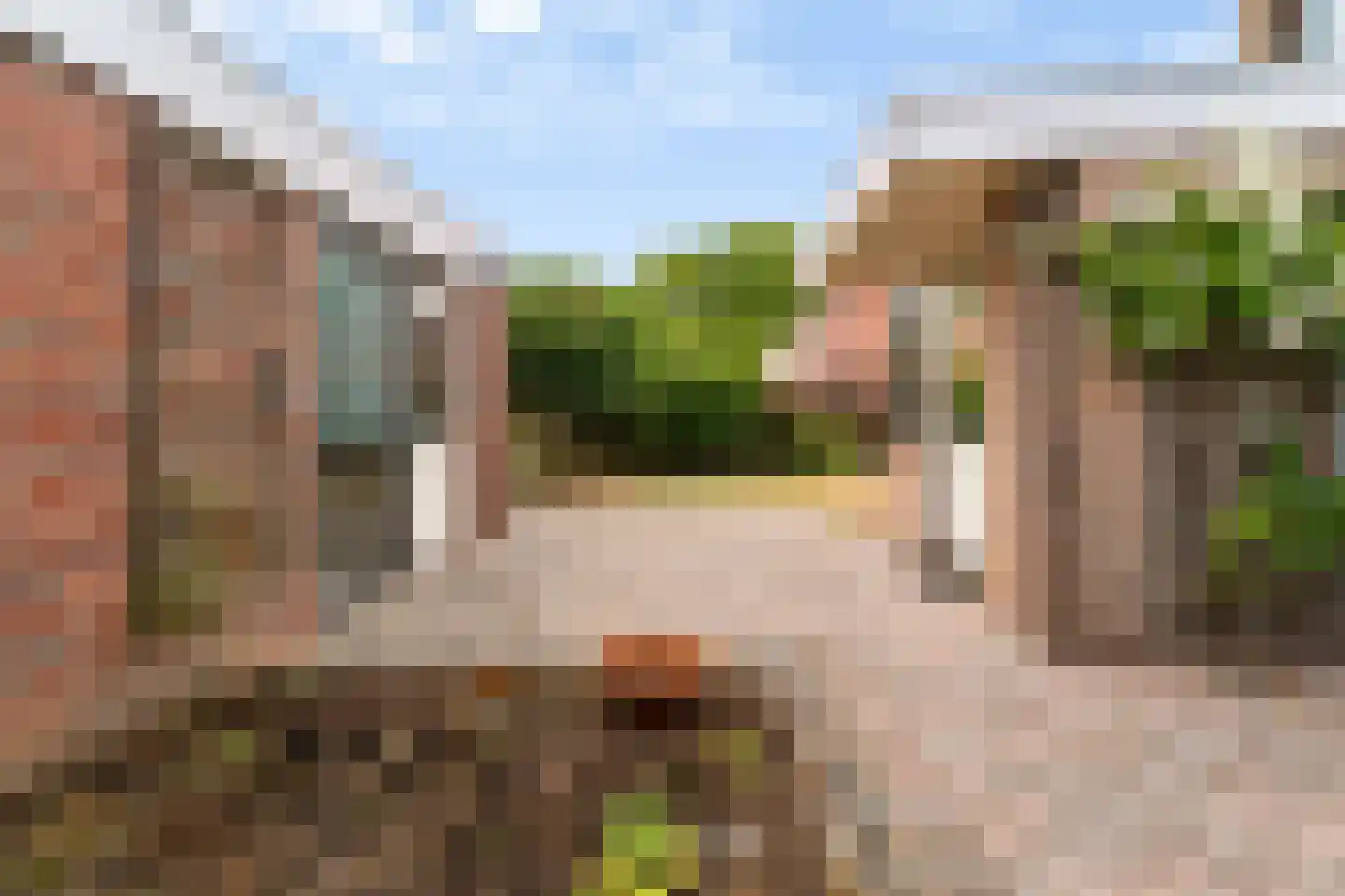 Vuurdoornstraat 8 Zevenaar thumbnail 42