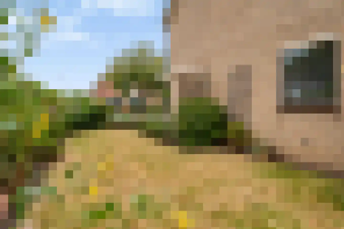Vuurdoornstraat 8 Zevenaar thumbnail 44