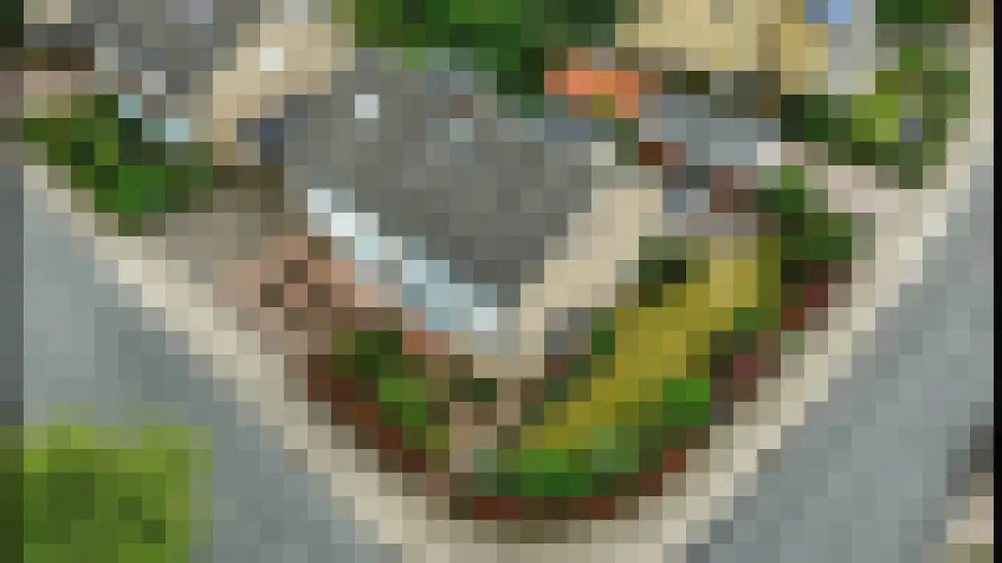 Vuurdoornstraat 8 Zevenaar thumbnail 47