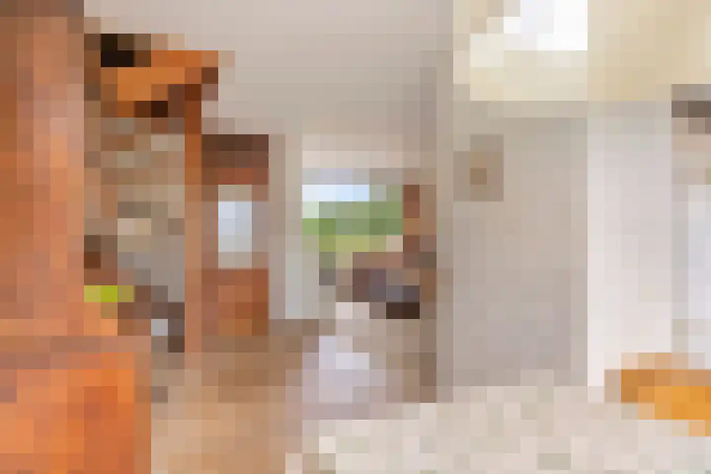 Vuurdoornweg 20 Schoorl thumbnail 13