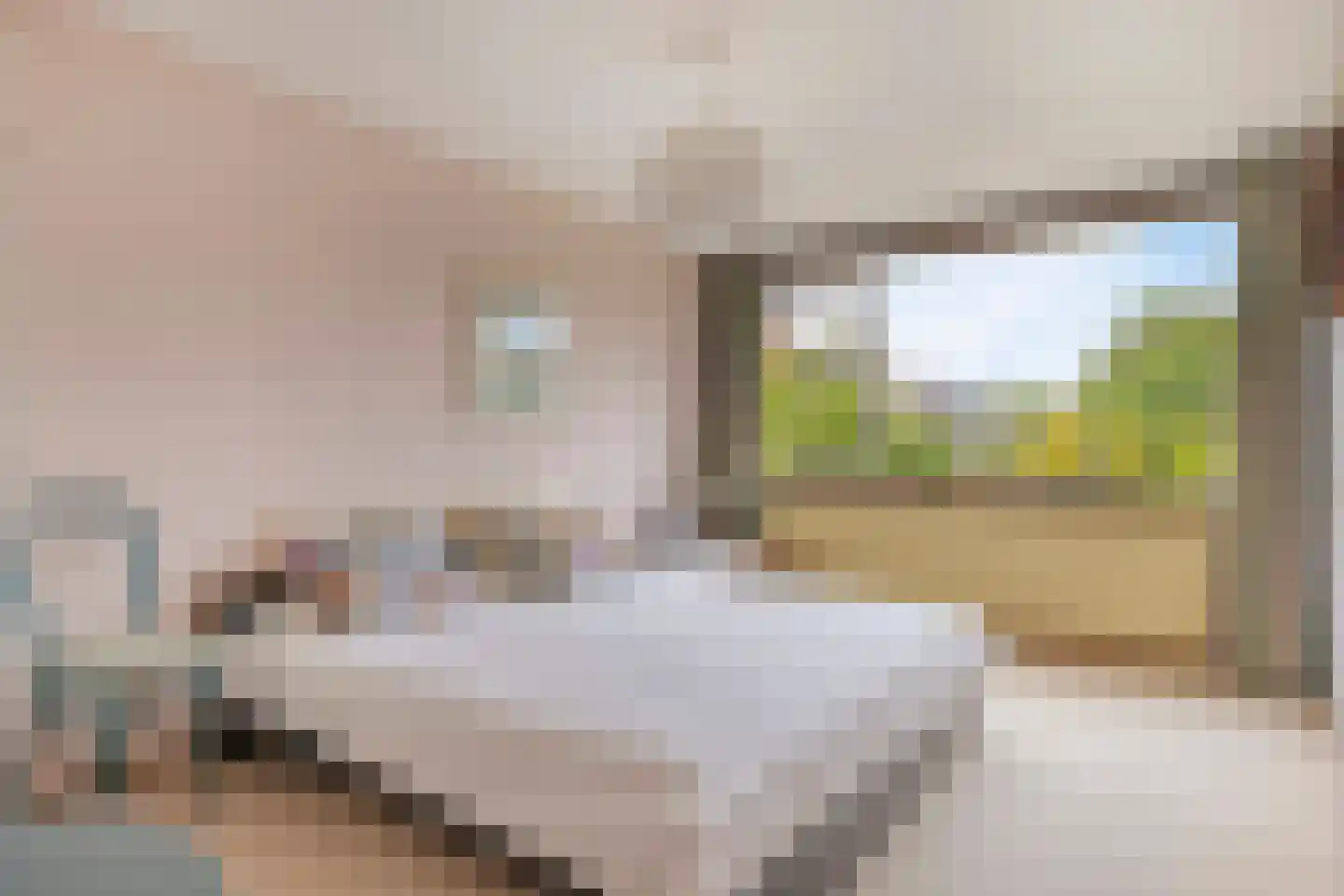 Vuurdoornweg 20 Schoorl thumbnail 19