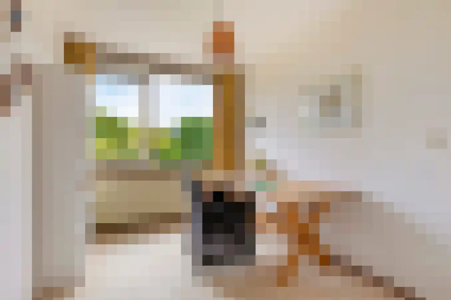 Vuurdoornweg 20 Schoorl thumbnail 25