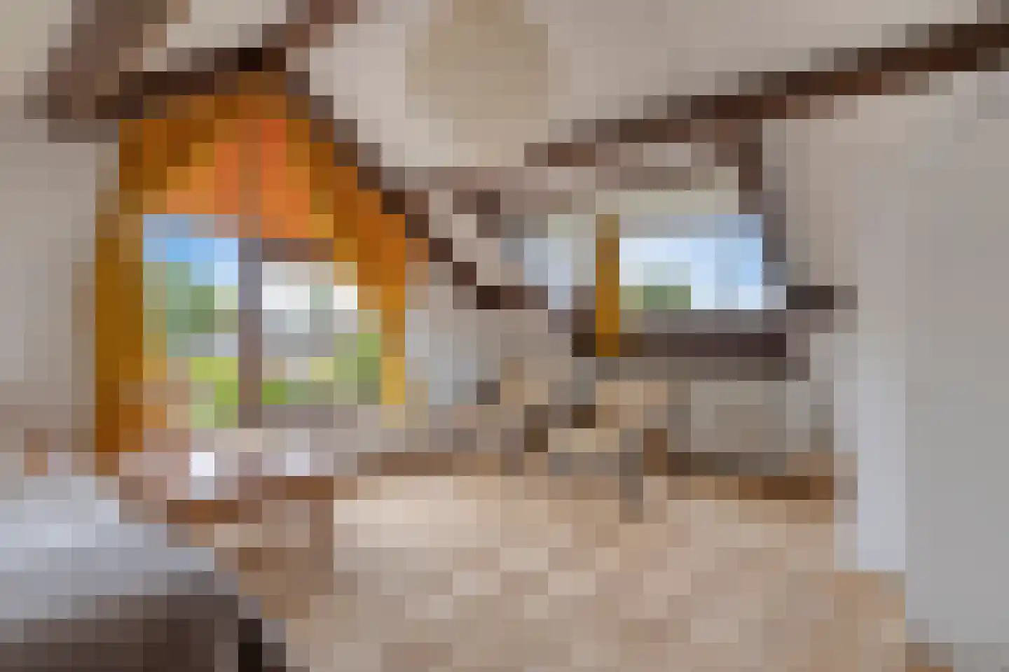 Vuurdoornweg 20 Schoorl thumbnail 29