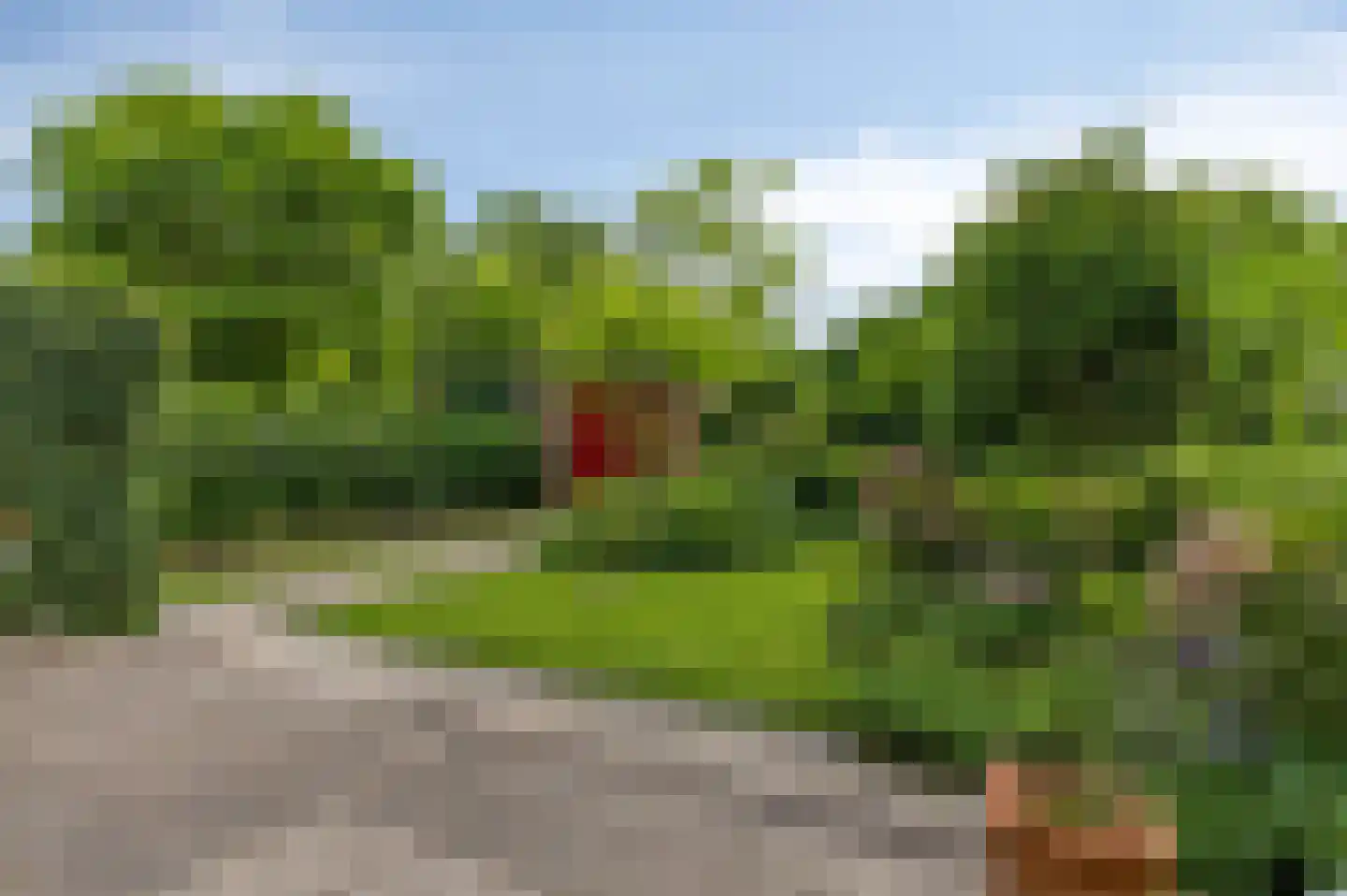 Vuurdoornweg 20 Schoorl thumbnail 32