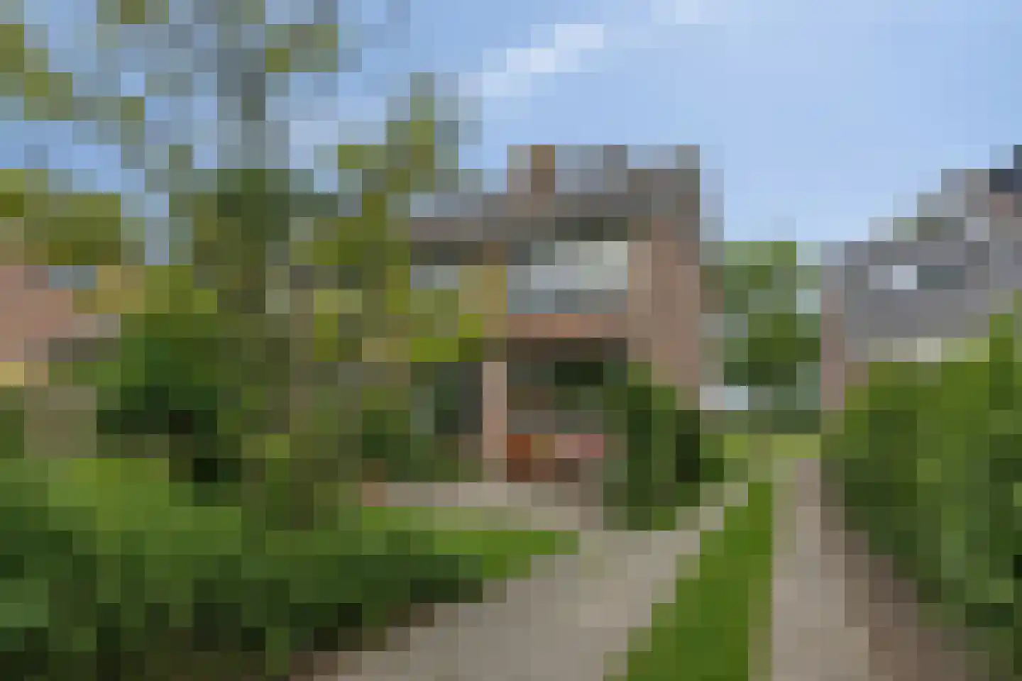 Vuurdoornweg 20 Schoorl thumbnail 37