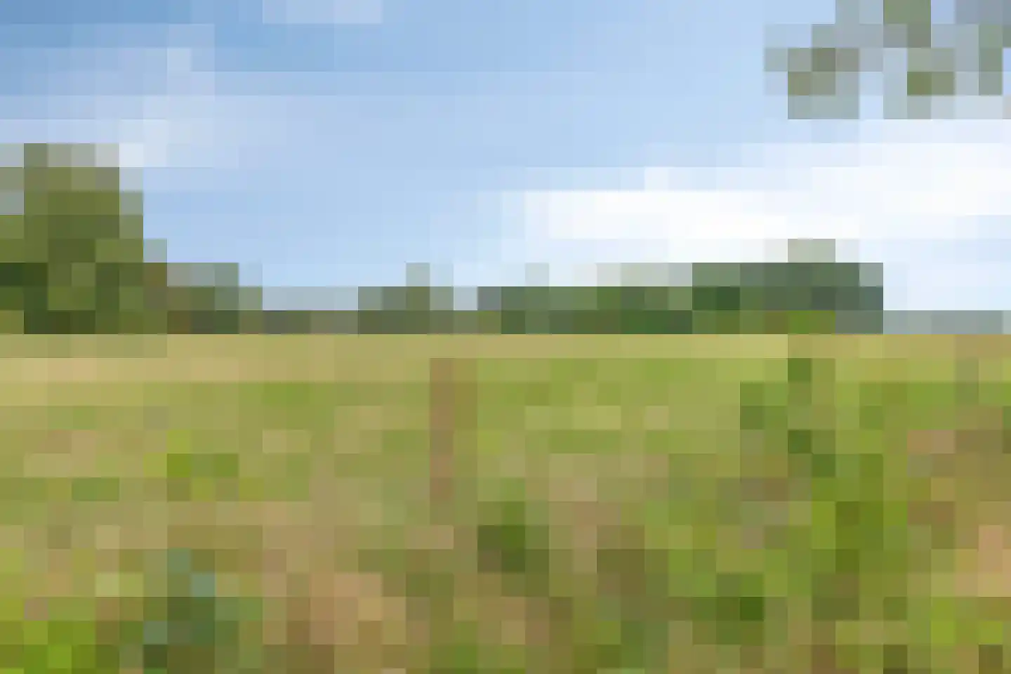 Vuurdoornweg 20 Schoorl thumbnail 38