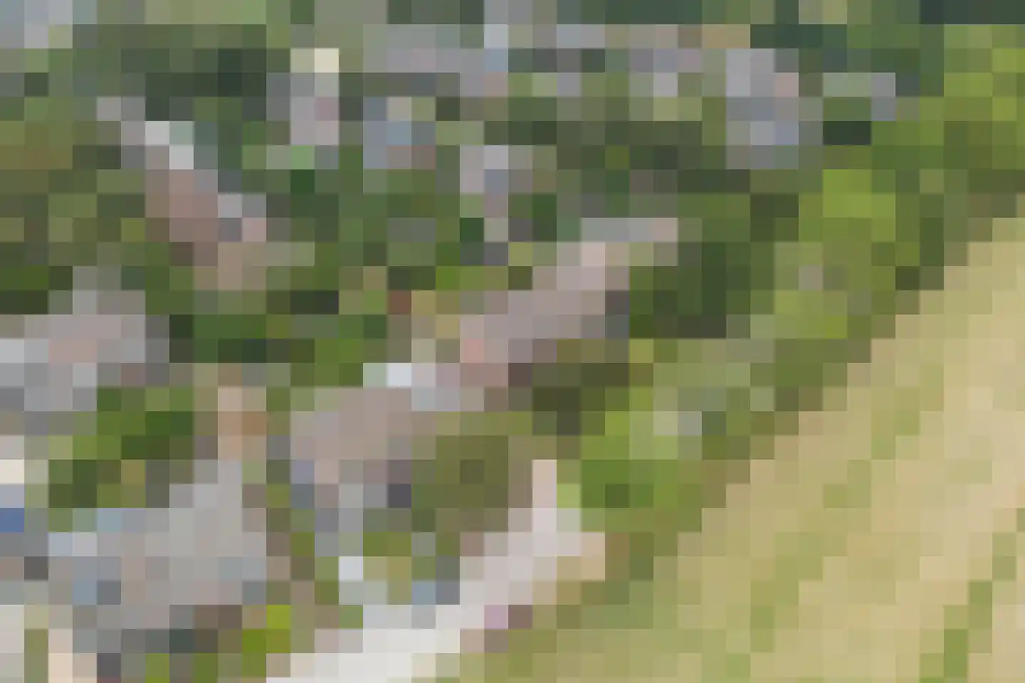 Vuurdoornweg 20 Schoorl thumbnail 41