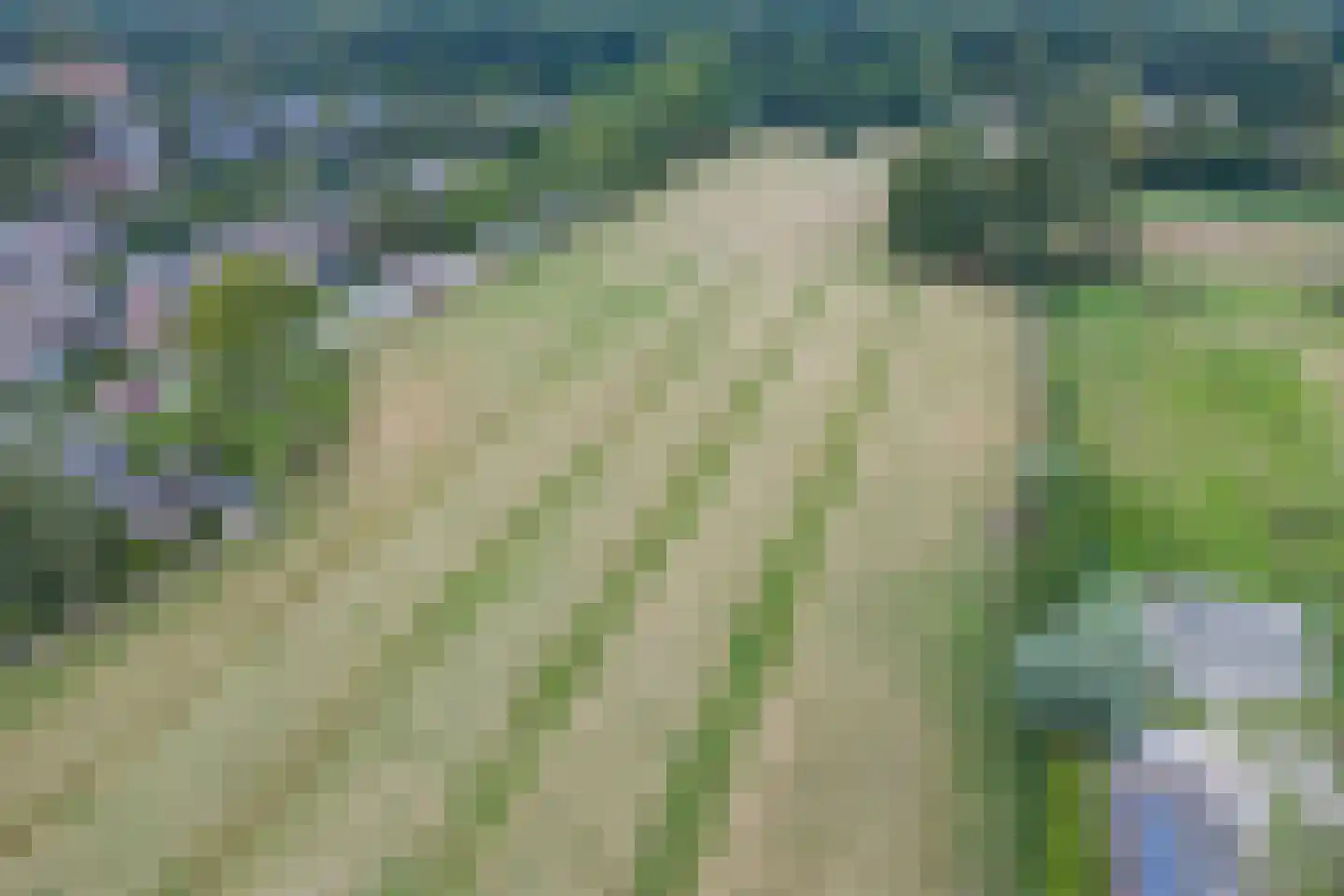 Vuurdoornweg 20 Schoorl thumbnail 43