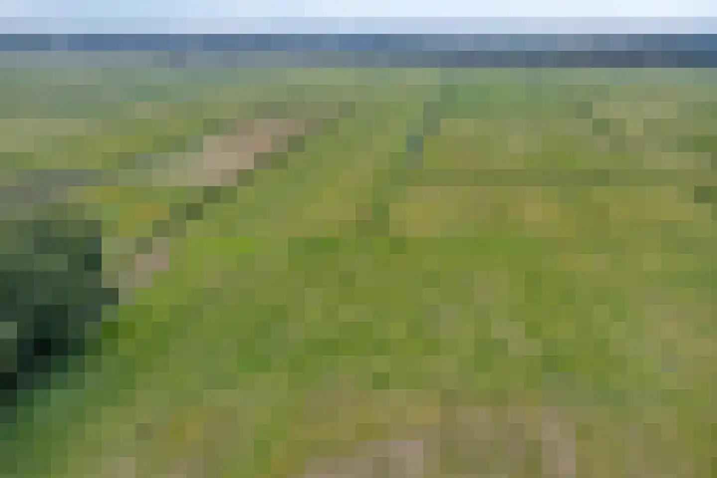 Vuurdoornweg 20 Schoorl thumbnail 44