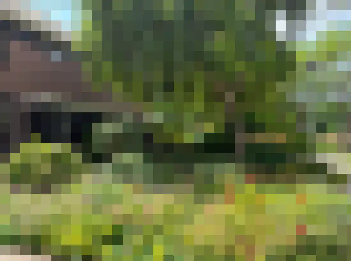 Vuurdoornweg 20 Schoorl thumbnail 46