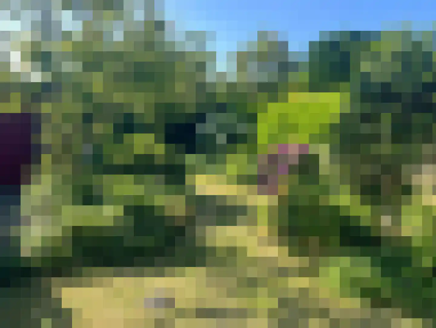 Vuurdoornweg 20 Schoorl thumbnail 48