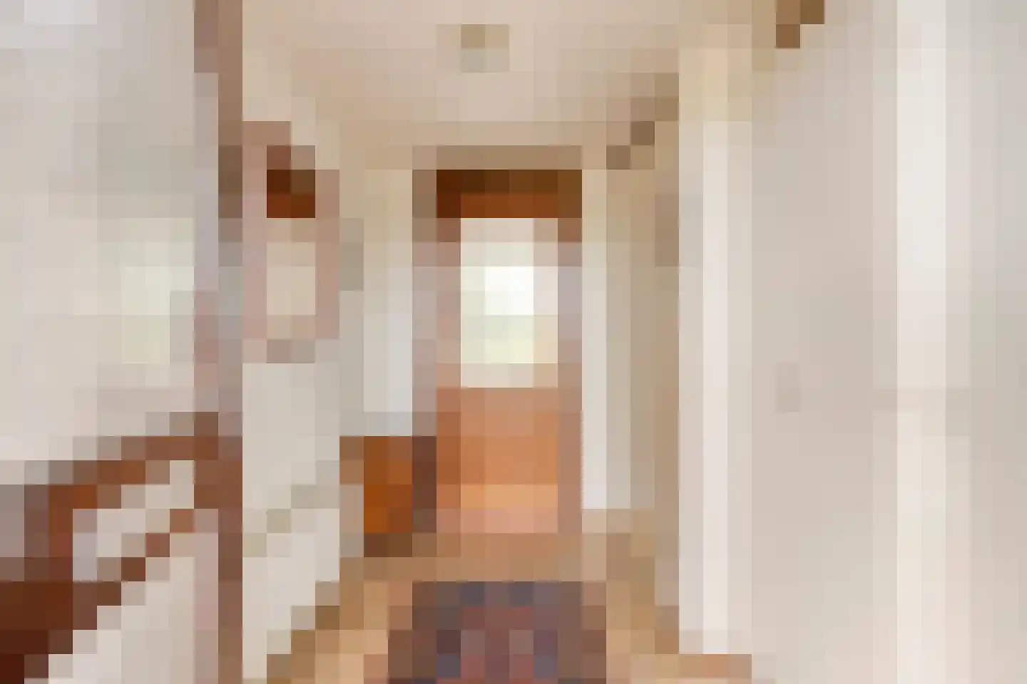 Vuurdoornweg 20 Schoorl thumbnail 8
