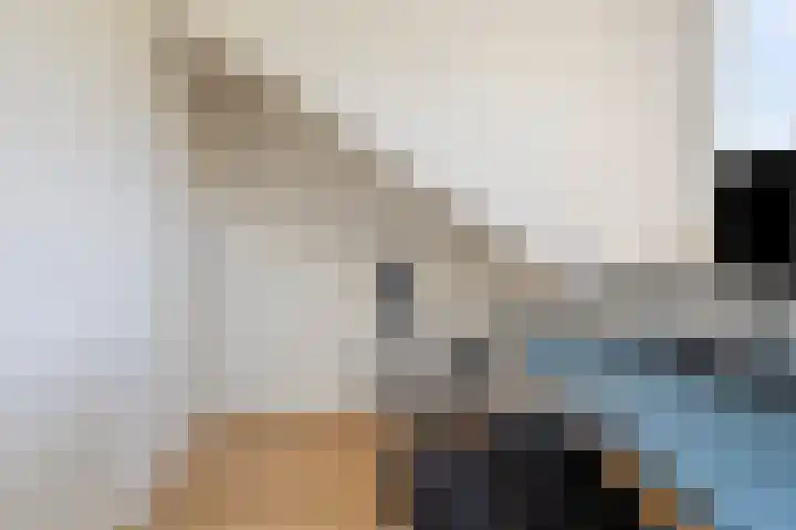 Vuurdoornweg 28 Schoorl thumbnail 33