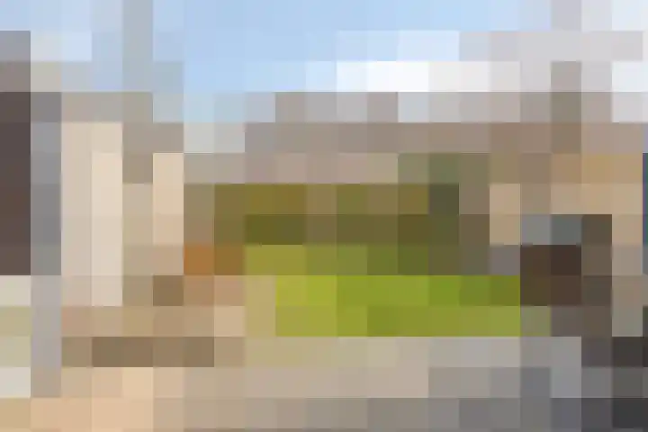 Vuurdoornweg 28 Schoorl thumbnail 36