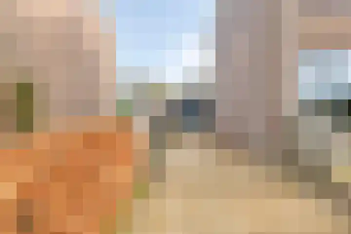Vuurdoornweg 28 Schoorl thumbnail 38