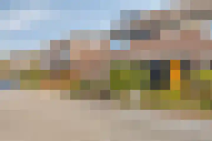 Vuurdoornweg 28 Schoorl thumbnail 40