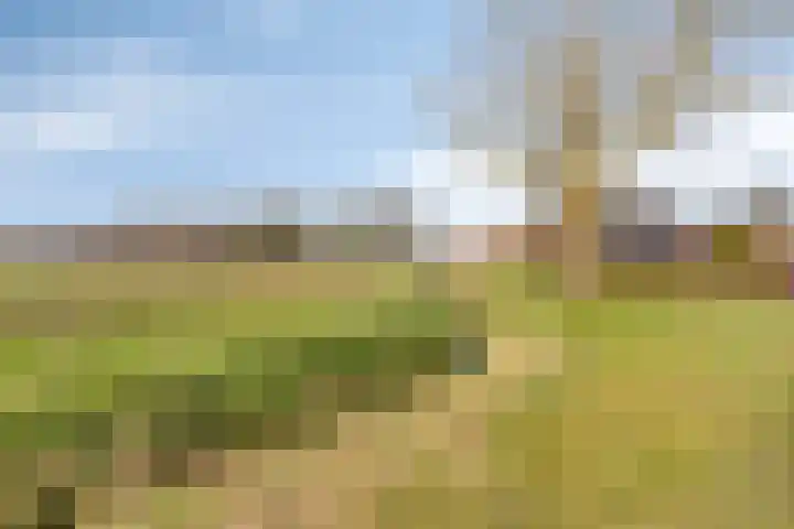 Vuurdoornweg 28 Schoorl thumbnail 42