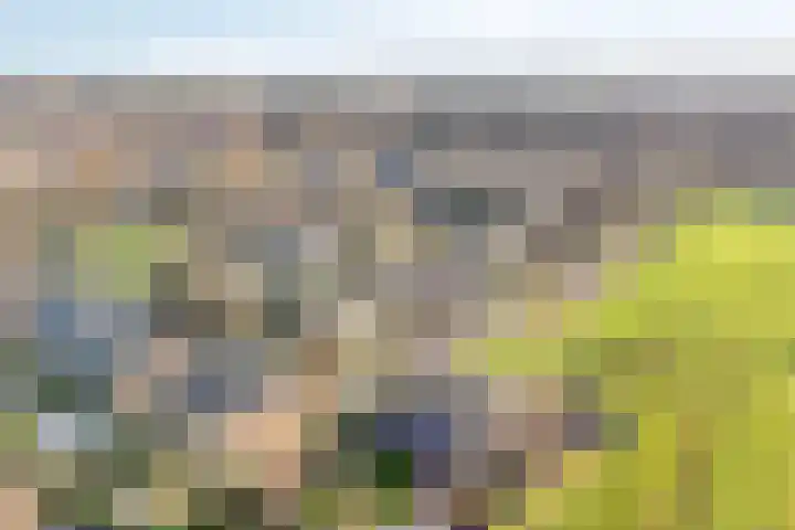 Vuurdoornweg 28 Schoorl thumbnail 48