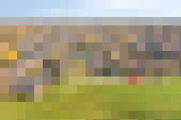 Vuurdoornweg 28 Schoorl thumbnail 49