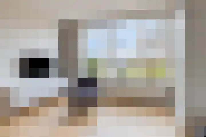 Vuurdoornweg 28 Schoorl thumbnail 9