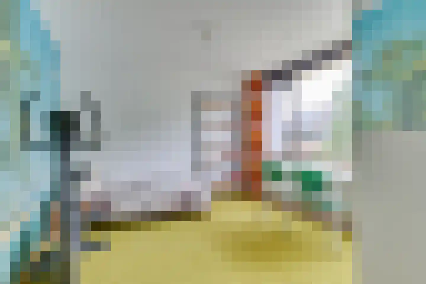 Vuurdoornweg 7 Schoorl thumbnail 19