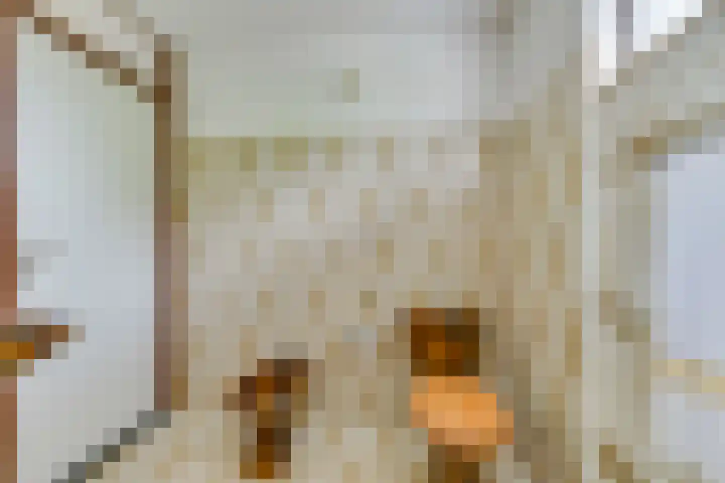 Vuurdoornweg 7 Schoorl thumbnail 23