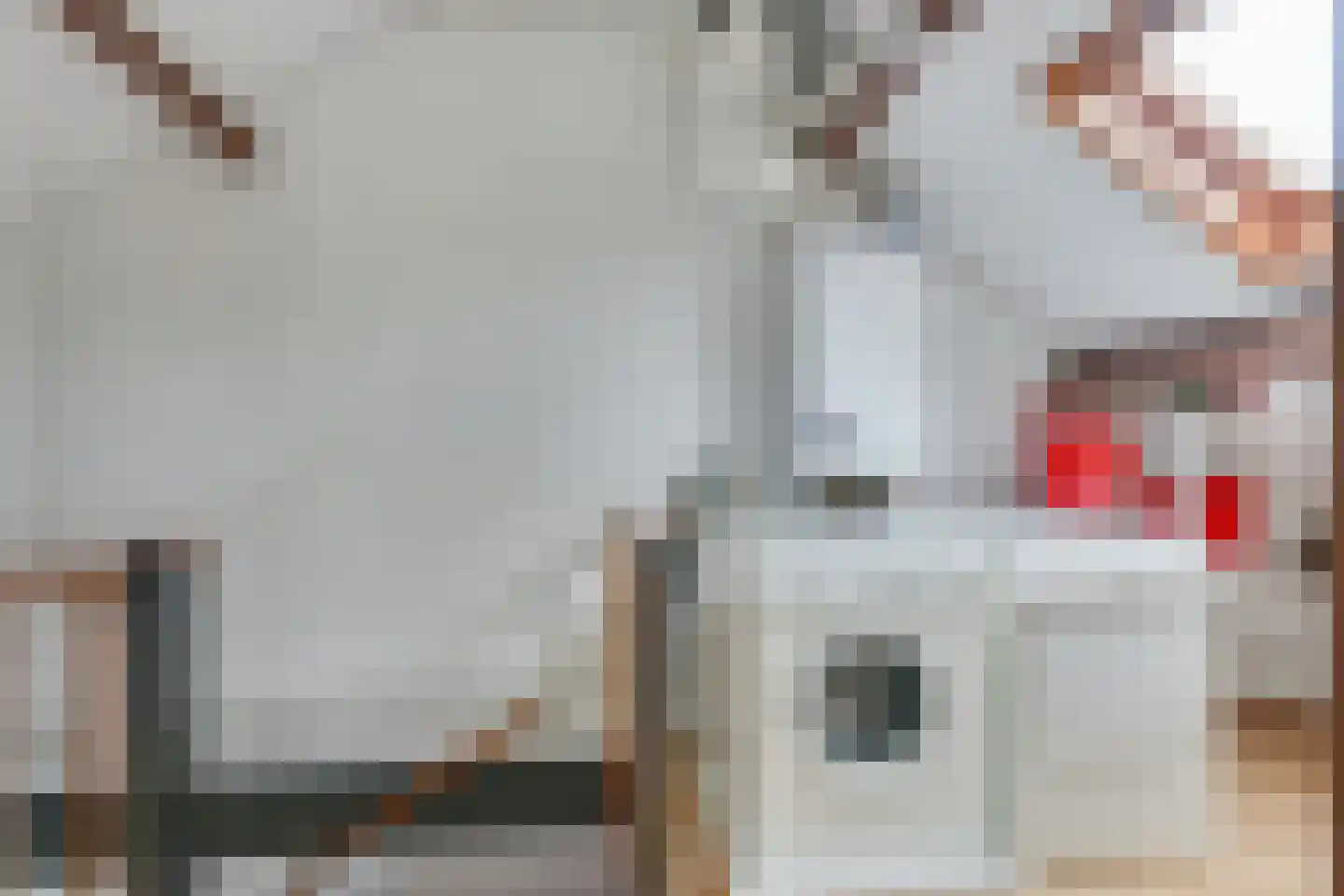 Vuurdoornweg 7 Schoorl thumbnail 30