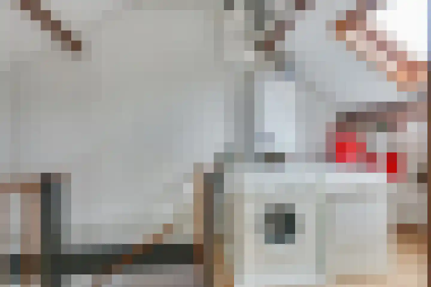 Vuurdoornweg 7 Schoorl thumbnail 30