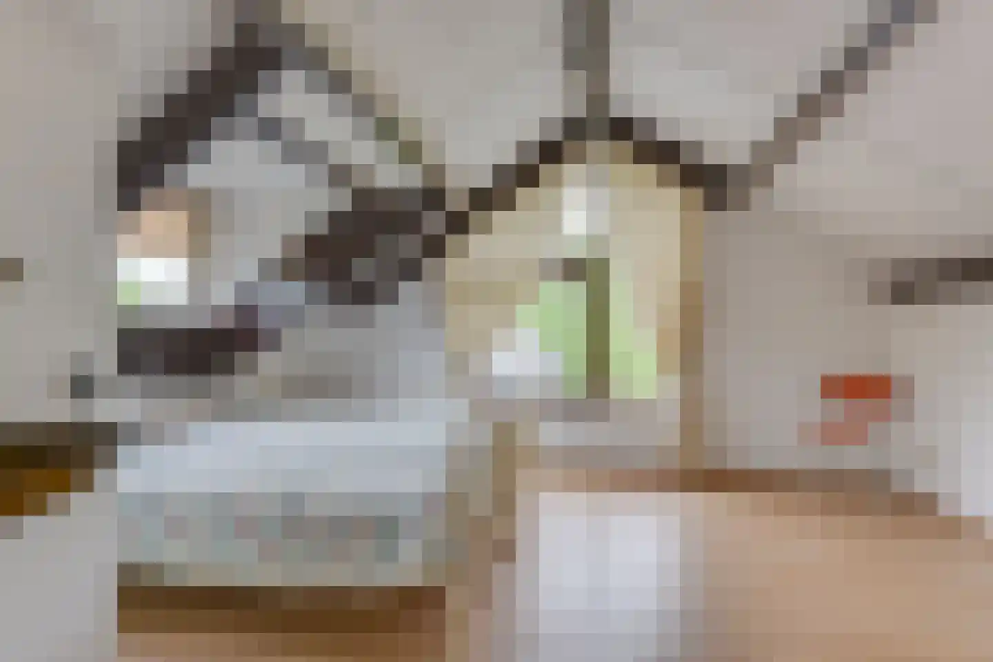 Vuurdoornweg 7 Schoorl thumbnail 32