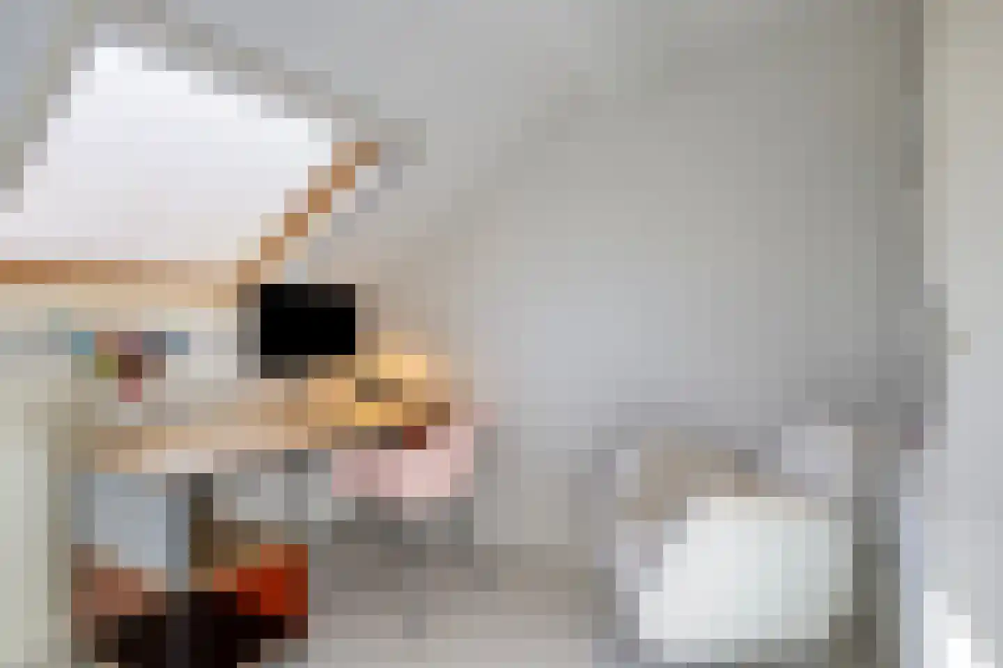Vuurijzer 19 Uden thumbnail 32