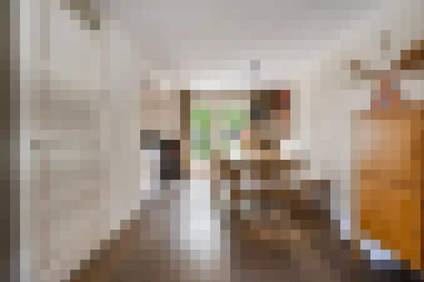 Vuurijzer 19 Uden thumbnail 6
