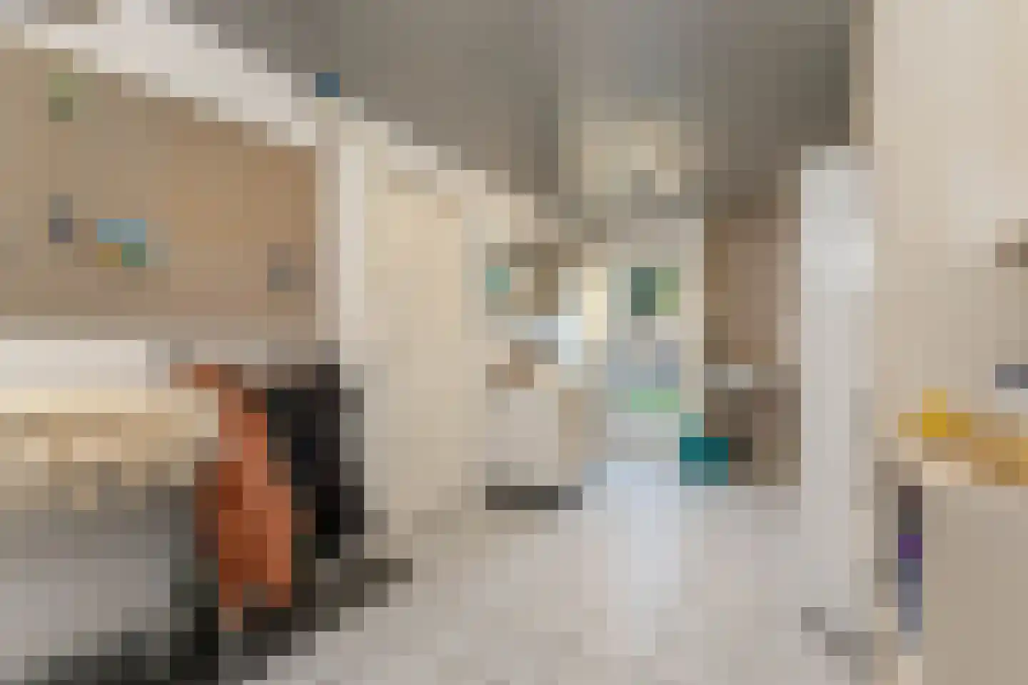 Vuurijzer 21 Uden thumbnail 18