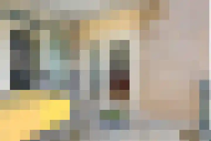 Vuurijzer 3 Uden thumbnail 29