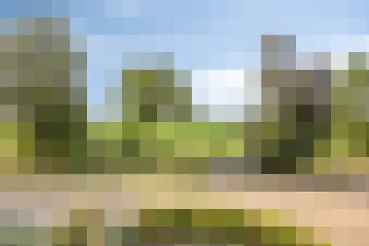 Vuurijzer 3 Uden thumbnail 30