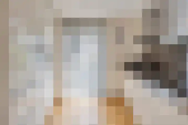 Vuurijzer 3 Uden thumbnail 31