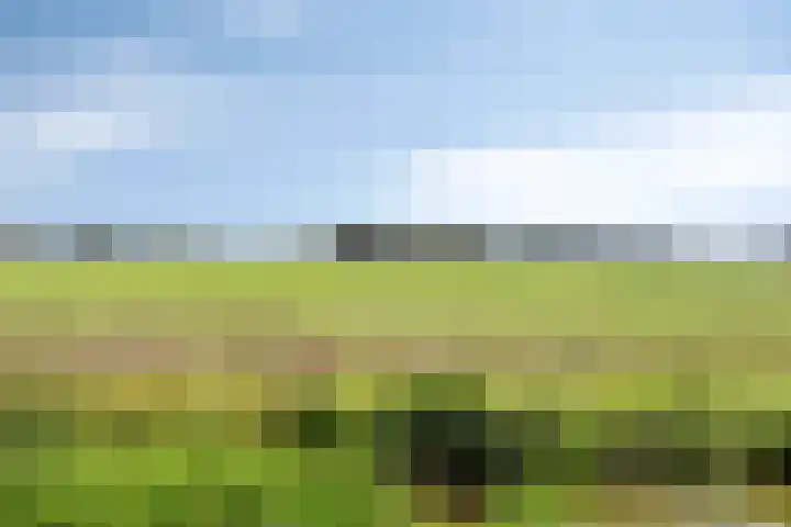 Vuurijzer 3 Uden thumbnail 48