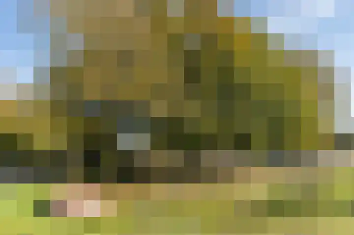 Vuurijzer 89 Boxtel thumbnail 59
