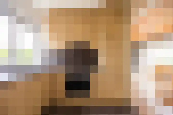 Vuurijzerstede 5 Cuijk thumbnail 12